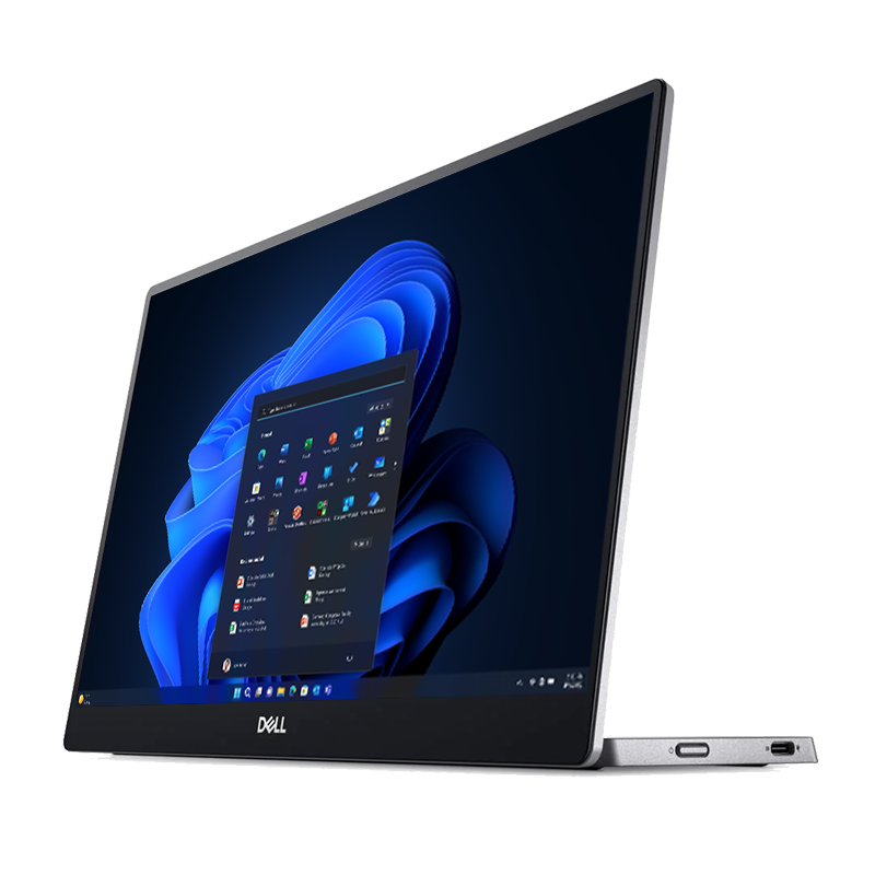 Portable monitor 7 Jul copy